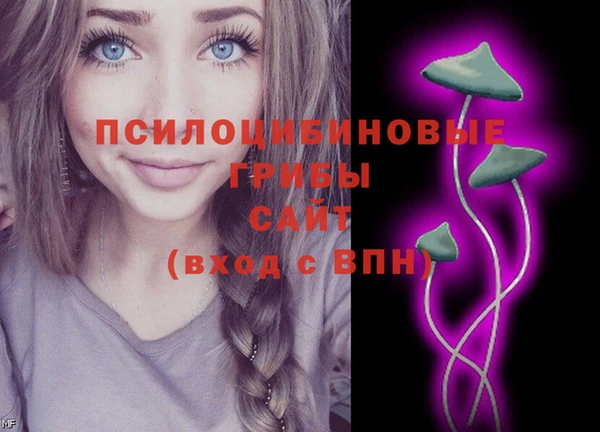 амф Алзамай