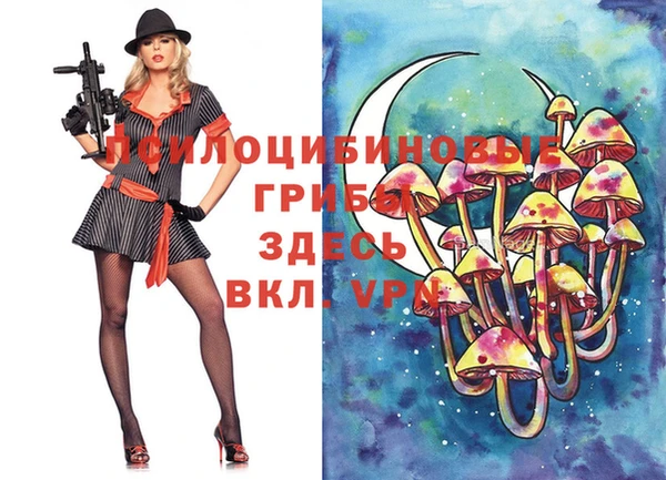 амф Алзамай