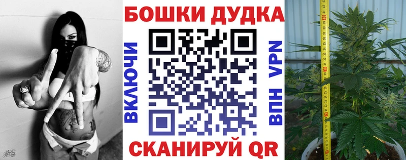 где продают Венёв МАРИХУАНА план